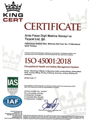 ISO 45001 2018 Occupational Health and Safety Management System